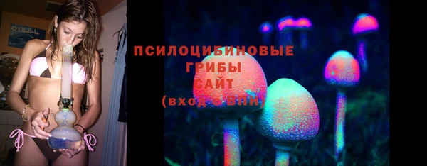 Альфа ПВП Галич