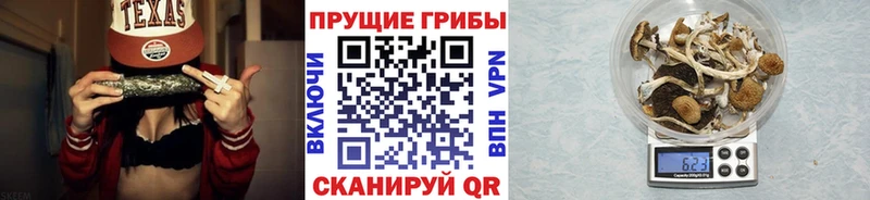 Псилоцибиновые грибы мицелий  Мурманск 